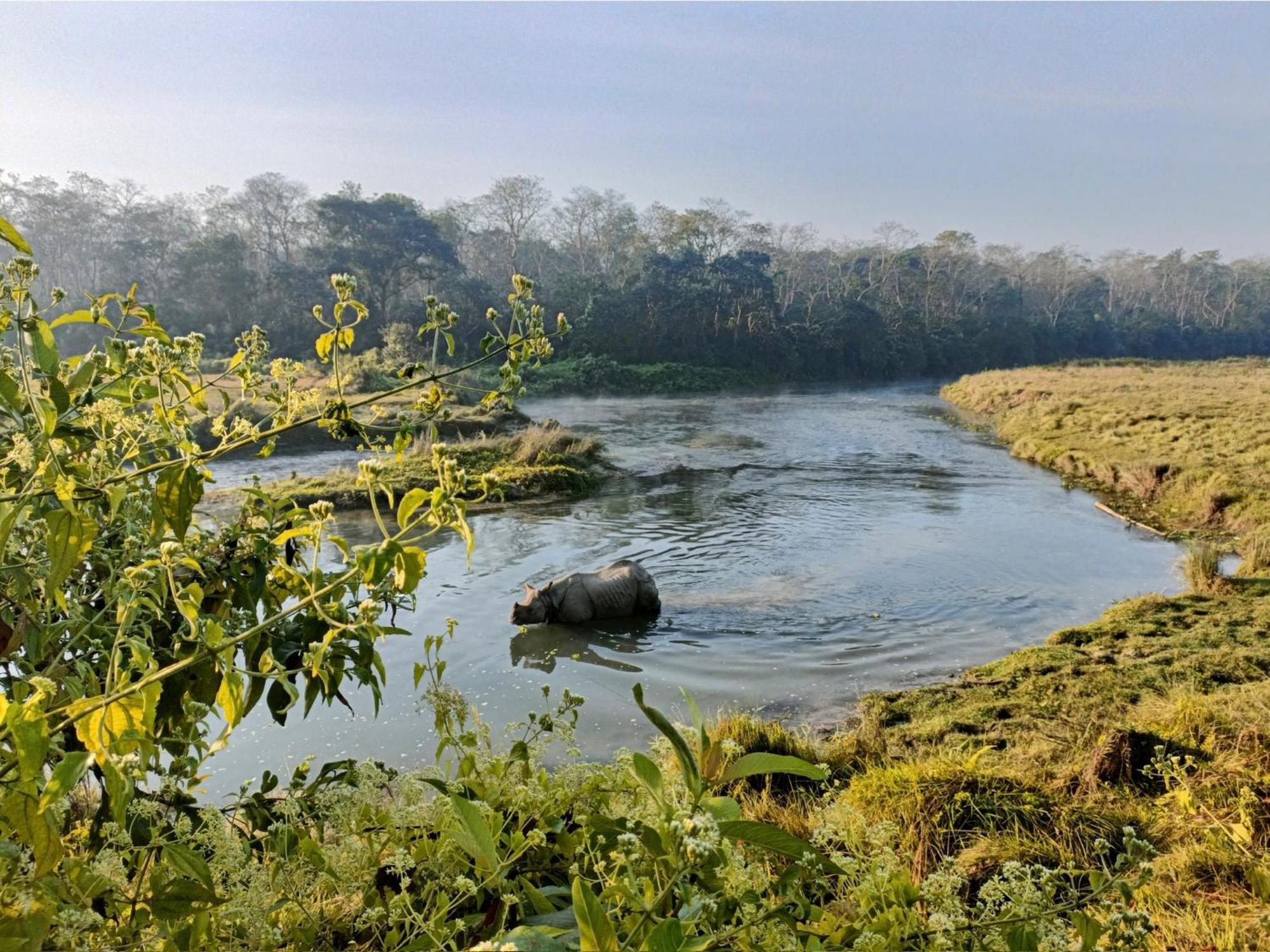 Hotel Tharu Garden And Beer Bar Chitwan Bagian luar foto