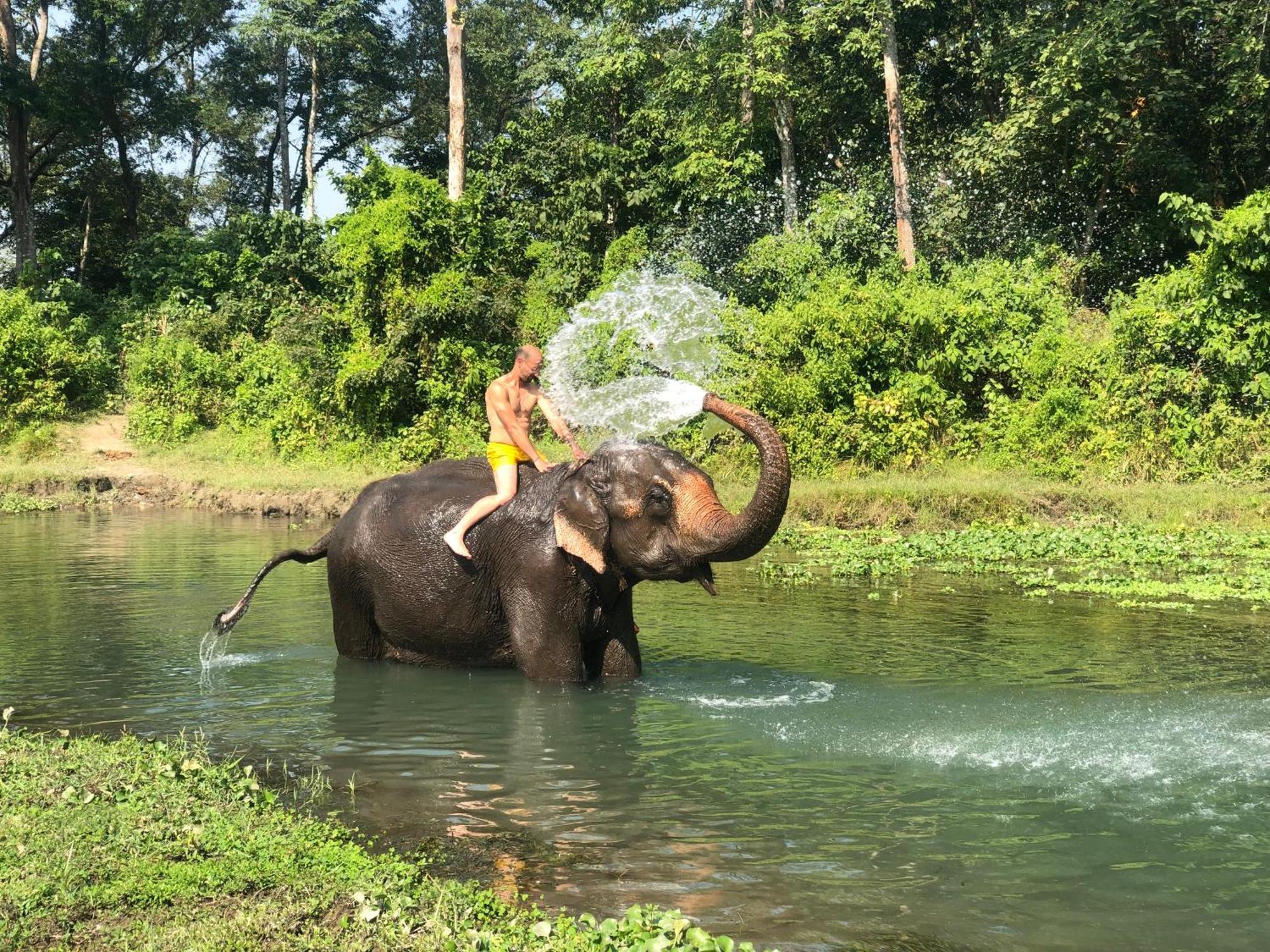 Hotel Tharu Garden And Beer Bar Chitwan Bagian luar foto